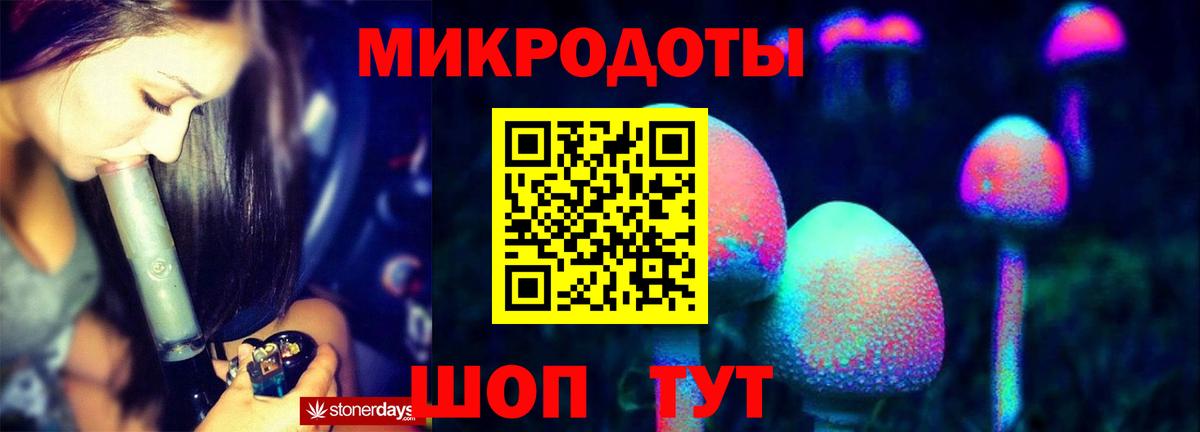 Псилоцибиновые грибы Psilocybine cubensis Карачаевск